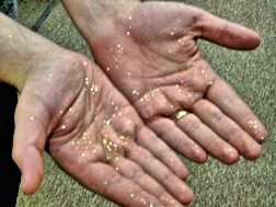 gold dust